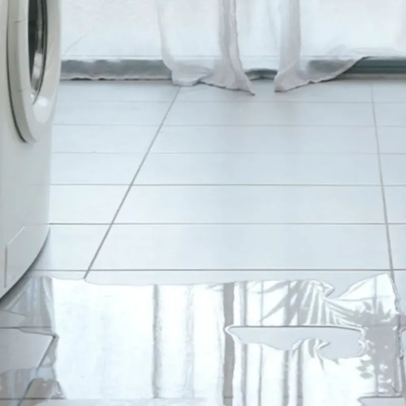 Appliance Leak Cleanup in Wales, WI