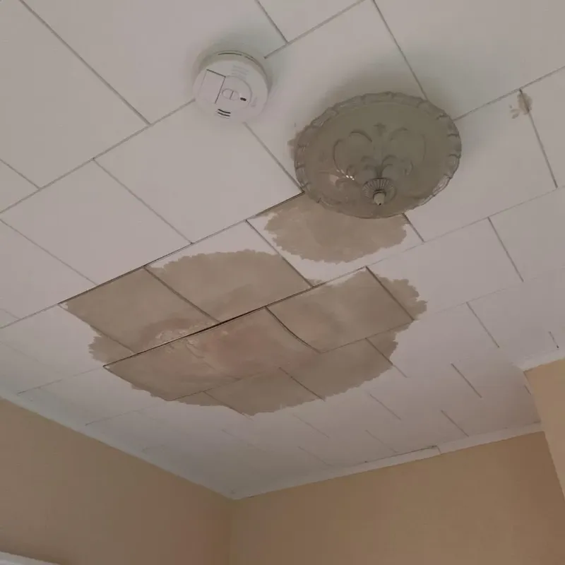 Ceiling Water Damage Repair in Wales, WI