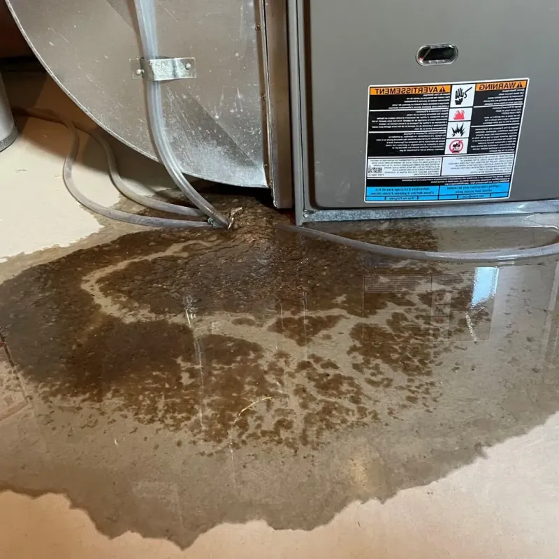 Pipe Burst and Leak Restoration in Wales, WI