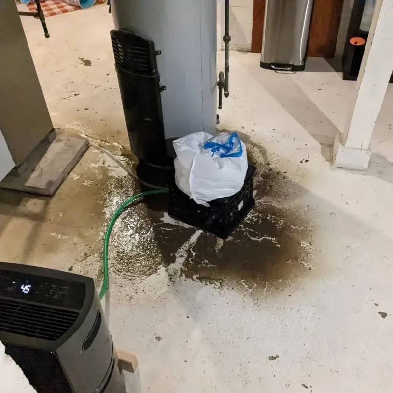 Sewage Backup Cleanup Service in Wales, WI